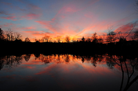 Landscape/Paysage